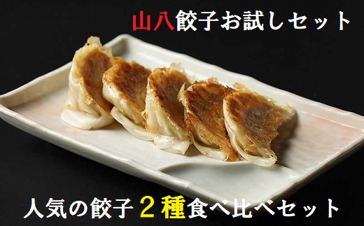 山八餃子お試しセット★人気の餃子2種食べ比べセット（山八餃子・黒豚餃子）【特製たれ付】計32個[H4429]
