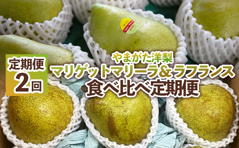 
                  【定期便2回】やまがた洋梨 マリゲットマリーラ＆ラフランス食べ比べ定期便【令和8年産先行予約】FS25-140
                