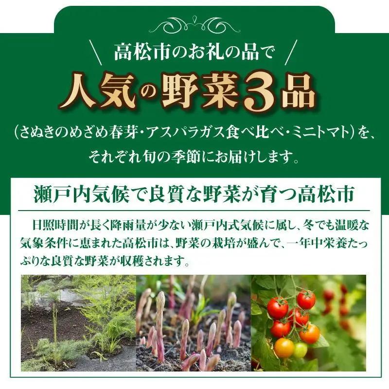 季節のやさい  厳選 高松市 3回 [旬な季節に合計3回発送]定期便D
