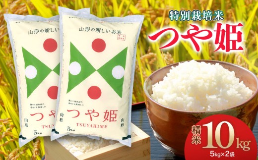 【令和7年産】 特別栽培米 つや姫 精米 10kg (5kg×2袋)　山形県 庄内産　米食味鑑定士お薦め　| つやひめ 10キロ 米 お米 コメ 精米 白米 食品 ご飯 ごはん 美味しい おいしい ブランド米 山形県 鶴岡市 返礼品