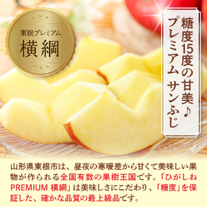 【2025年産 先行予約】 りんご「【横綱】サンふじ」5kg JA提供 山形県 東根市 hi003-140-1  令和7年産 2025年産 リンゴ 林檎 アップル サンふじ フルーツ 果物 くだもの 