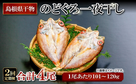 のどぐろ一夜干し 2尾 【2回定期便】【1尾あたり101～120g 2尾 のどぐろ干物 2枚 のどぐろ ノドグロ あかむつ アカムツ 新鮮 干物 一夜干し 個包装 小分け 真空パック 冷凍 贈答 父の日 母の日】