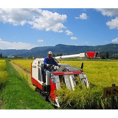 ふるさと納税 南魚沼市 南魚沼産(しおざわ)こしひかり　栽培期間中農薬を8割減らして育てたお米　精米10kg(2kg×5袋) |  | 03