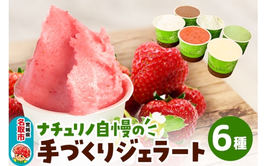 ナチュリノ自慢の手づくりジェラート 6種 自然派 人気店 Gelateria Natu-Lino natulino [ジェラート アイスクリーム スイーツ フルーツ カップ]
