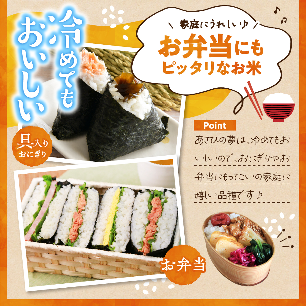 2026年5月発送【令和7年度産】群馬県千代田町産 あさひの夢 10kg(5kg×2袋) (精米) 群馬県 千代田町