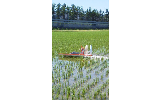 【令和5年産】北海道岩見沢産くすのきファームのおぼろづき玄米（5Kg）【34104】