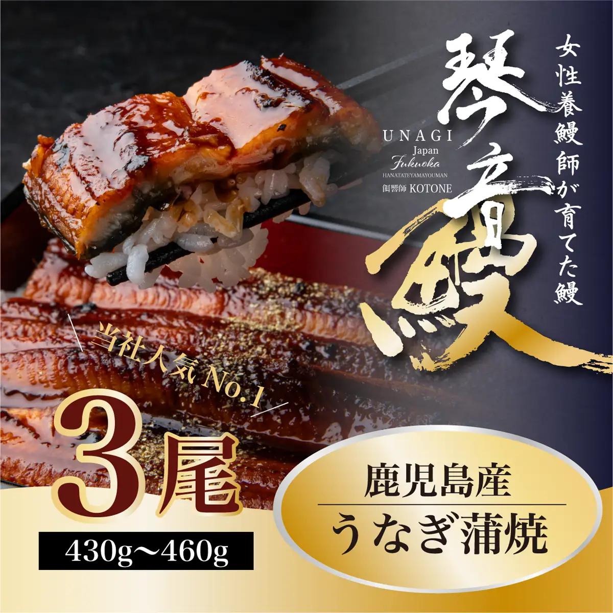 国産 うなぎ 蒲焼き（鹿児島県産） 3尾 (430〜460g) 【国産100％ 鰻 ウナギ 蒲焼 土用丑の日 丑の日 冷凍 魚介 海鮮 おかず お祝い ご褒美 贅沢 おすすめ 人気 花立山養鰻 福岡県 筑前町 HY002】【価格改定】