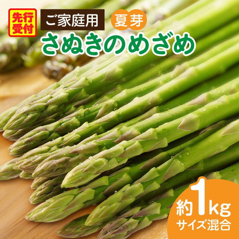 【ふるさと納税】ご家庭用アスパラガス「さぬきのめざめ」（セミロング）サイズ混合約1kg野菜 アスパラ アスパラガス さぬきのめざめ 家庭用 夏 冷蔵 新鮮 香川県 三木町 セミロング おすすめ