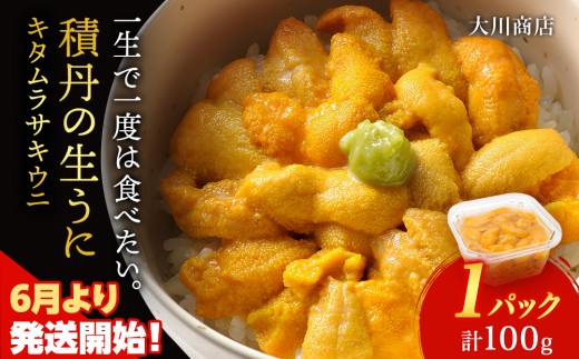 【2026年夏発送分】ムラサキウニ100g×1パック