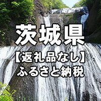 【ふるさと納税】茨城県への寄付（返礼品はありません）