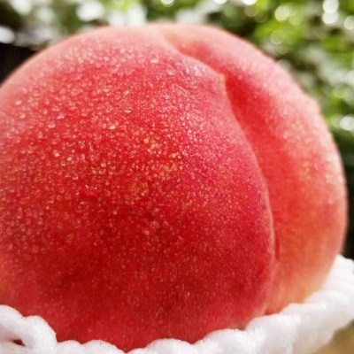 【訳あり品】ご家庭桃・朝もぎ産地直送・3kg以上【配送不可地域：離島】