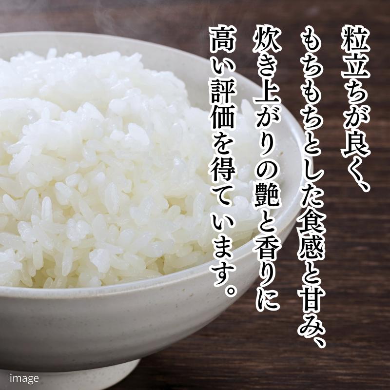 新米 令和7年 佐賀県産「さがびより」10kg（5kg×2袋）：B240-027_イメージ3