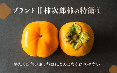 次郎柿 5kg 15~25玉 訳あり 甘 柿