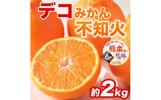先行予約 不知火 デコみかん 約2㎏（5～9玉）【2027年2月上旬～2027年4月中旬発送予定】ミカン 蜜柑 フルーツ 果物 柑橘類 国産 熊本 熊本県 九州 宇城市 甘味 酸味 甘い プレミアム 日本フルーツ