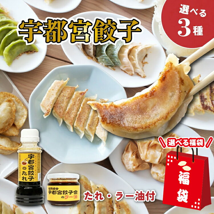 【ふるさと納税】【楽天限定】【選べる 食べ比べセット】宇都宮餃子 餃子の街 宇都宮 名店32店舗からお好きな3店舗が選べる！（6人前セット） 専用タレ・ラー油付 送料無料 | ギョーザ ぎょうざ 宇都宮 餃子 有名 2024 人気 餃子