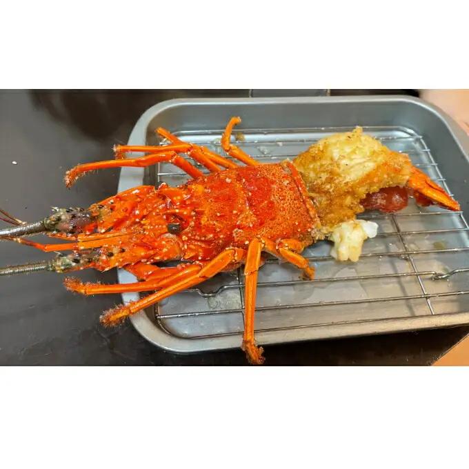 活伊勢海老 約1kg(2～3尾)【 イセエビ 伊勢海老 】