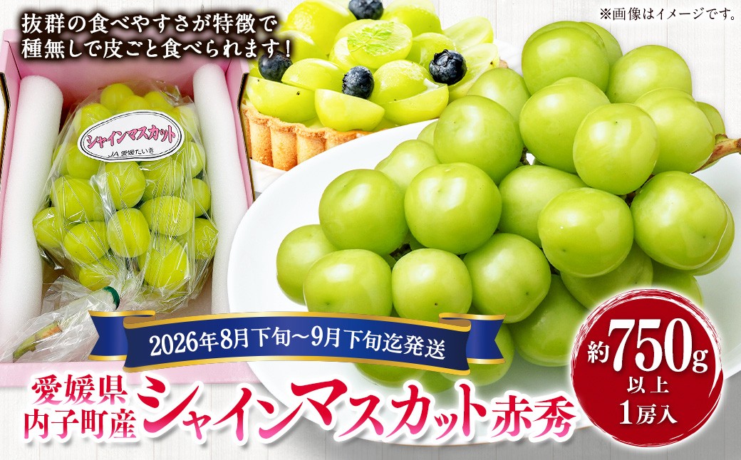 
                  内子町産 シャインマスカット 赤秀 1房入 約750g以上【2026年8月下旬～9月下旬迄発送予定】【えひめの町（超）推し！（内子町）】（447）
                