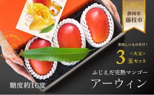 【先行予約開始】【2026 夏発送】ふじえだ完熟マンゴー「アーウィン大玉3玉」糖度約16度 厳選 フルーツ 数量限定 果物 国産 マンゴー マンゴーフルーツ トロピカルフルーツ 静岡県 藤枝市 ふるさとおすすめ