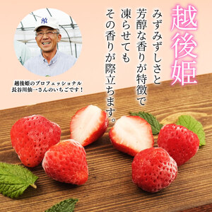 冷凍 いちご 越後姫 800g  200g × 4パック 越後姫 いちご 苺 苺 いちご いちご いちご いちご いちご imagawaya017