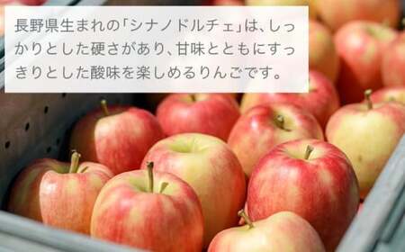 【訳あり】シナノドルチェ 約3kg 6～12玉 ［ おぶせファーマーズ ］ 数量限定 期間限定 果物類 林檎 りんご リンゴ 規格外 不揃い フルーツ 長野県産 信州産 令和8年産 【2026年9月中
