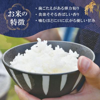 ふるさと納税 明和町 下村農園オリジナルブランド米「三重県産斎王米」3kg　SN1 |  | 01