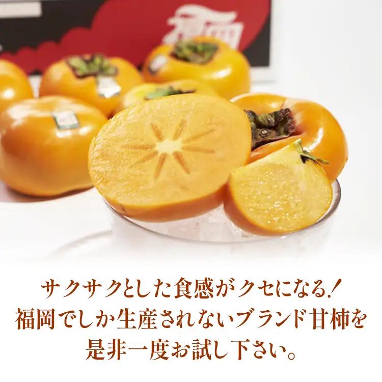 福岡県産ブランド柿「秋王」約3kg(8-12玉)