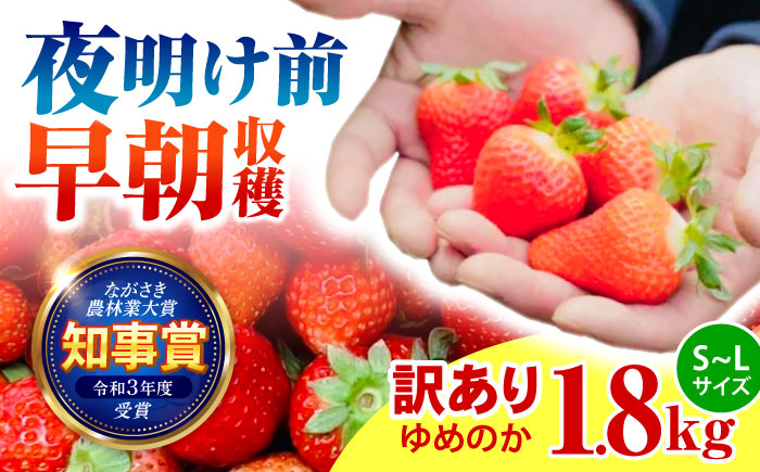 ※【2026年1月発送分／先行予約】【訳あり】【とろける甘さ、弾ける果汁！】いちご「ゆめのか」 S-Lサイズ 1.8kg / 訳あり 訳あり商品 訳あり果物 果物訳あり いちご イチゴ 苺 イチゴジャ