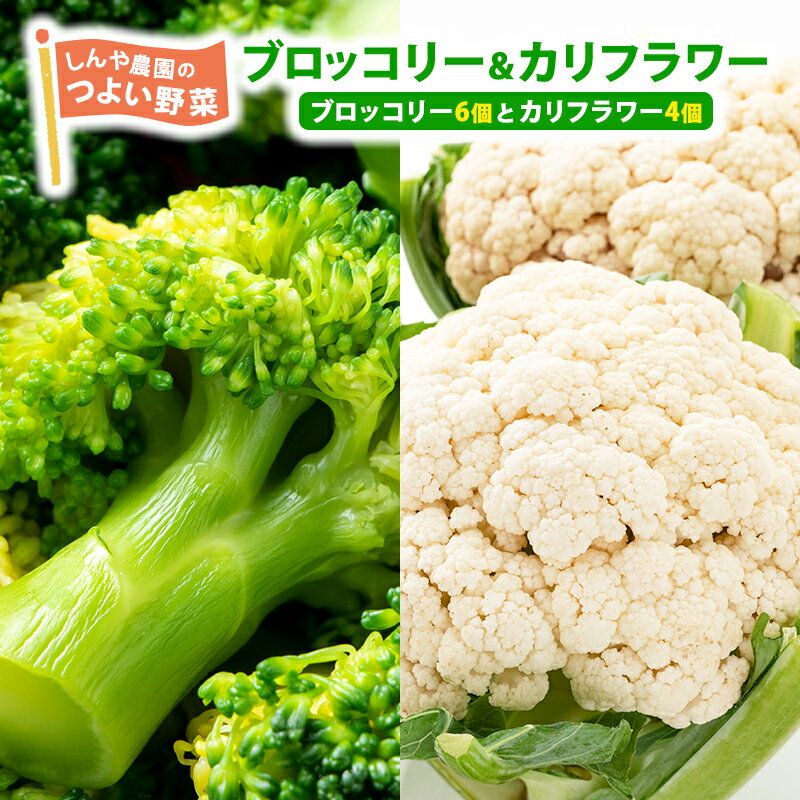 【ふるさと納税】【令和8年産】しんや農園の 野菜「ブロッコリー6個 & カリフラワー4個」 旬の野菜 北海道産 北海道野菜 国産 国産野菜 グルメ 食材 新鮮 新鮮野菜 　お届け：2026年9月下旬～10月下旬まで