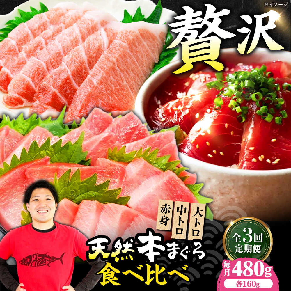 【ふるさと納税】【全3回定期便】極上！たね熟天然本まぐろ赤身＆中トロ＆大トロセット(各160g 計480g)　大阪府高槻市/本まぐろ直売所[AOCE043]