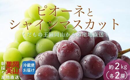 【2025年先行予約】［大原観光果樹園］ピオーネ2房とシャインマスカット2房（計4房 約2kg）［026-a018］