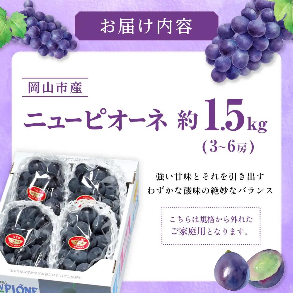 ご家庭用 ニュー ピオーネ 3～6房 約1.5kg ｜  ピオーネ