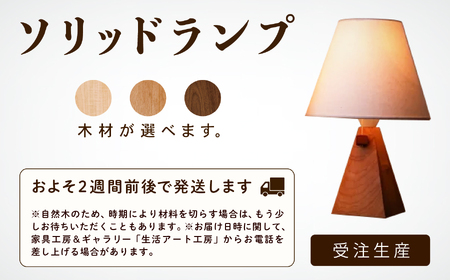 ソリッドランプ 照明 ライト 家具 インテリア 照明