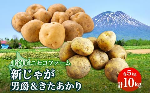 北海道産 越冬 じゃがいも 2種 詰め合わせ 男爵 きたあかり 各5kg 計10kg M-L サイズ混合 芋 ジャガイモ いも 野菜 お取り寄せ キタアカリ ニセコファーム 送料無料