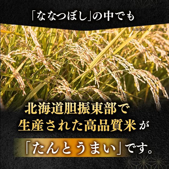 令和7年産 令和8年産 【全12回定期便】ななつぼし [たんとう米] 5kg 米 定期便 1年 12ヵ月 お米 白米 ご飯 ななつぼし 北海道 [AXAB020]