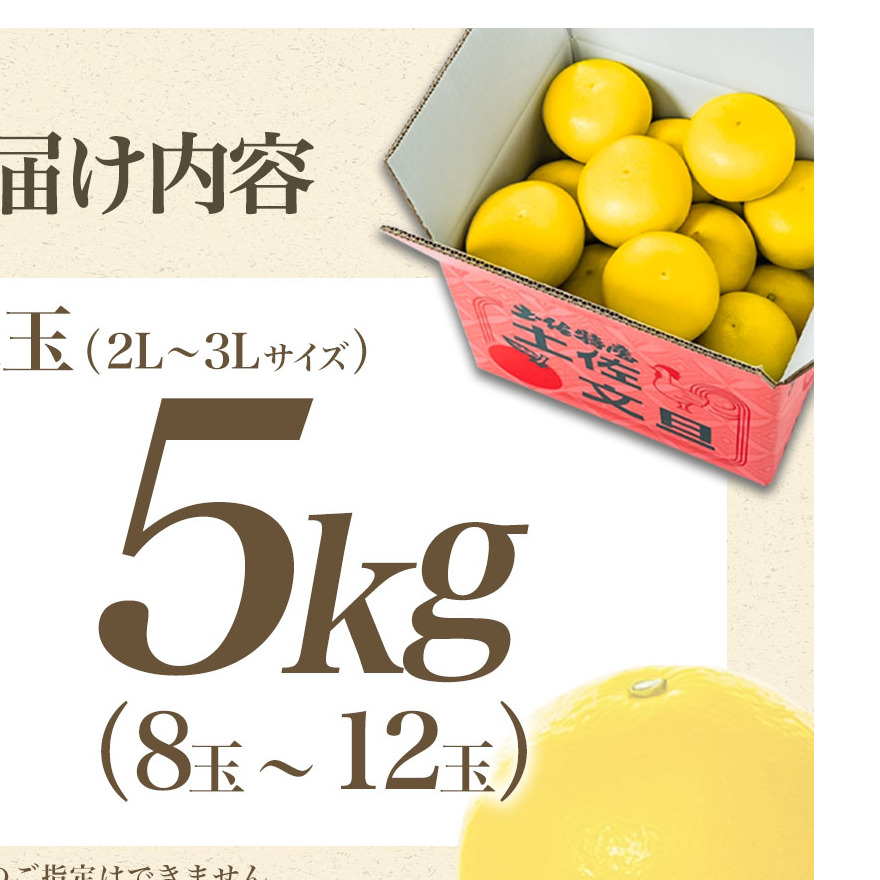 【日本ギフト大賞2024受賞】【先行予約】文旦 大玉5kg（3L～2L）2026年1月下旬より順次発送 土佐文旦 みかん 柑橘 ぶんたん ブンタン 果物 フルーツ お取り寄せ おいしい 家庭用 贈答用