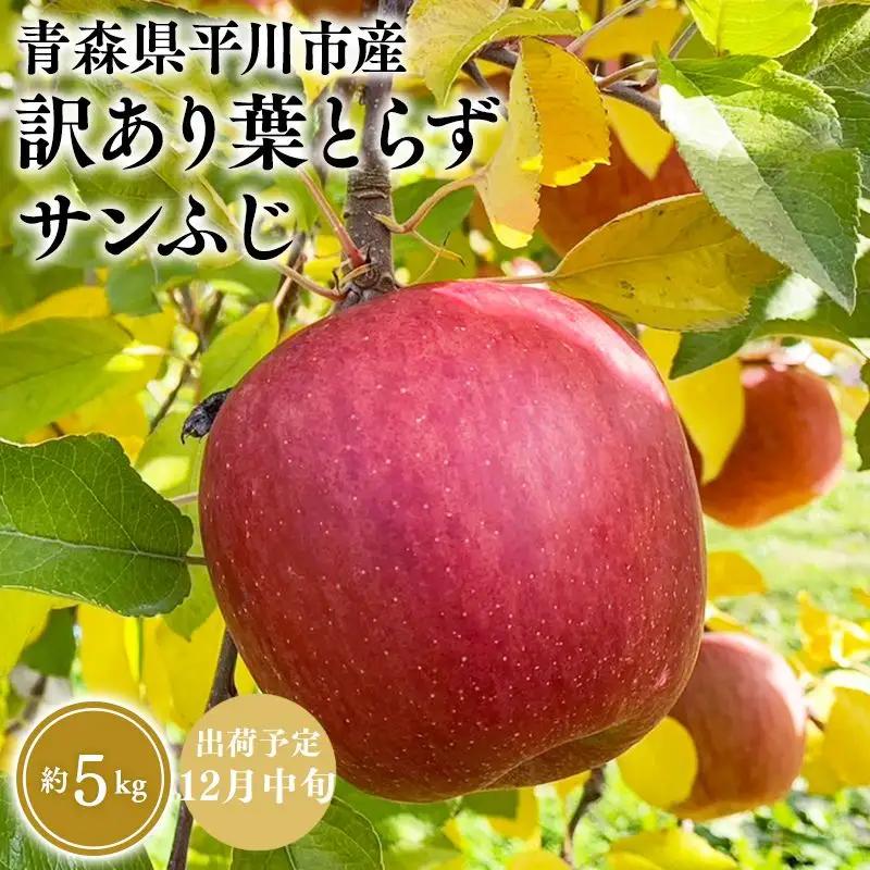 りんご  家庭用 葉取らずサンふじ 約5kg 【hi-0036-013】
