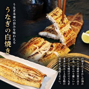 特選うなぎの蒲焼き3尾＋白焼き3尾入り 特製タレ付き ヤマシン【特選うなぎ】
