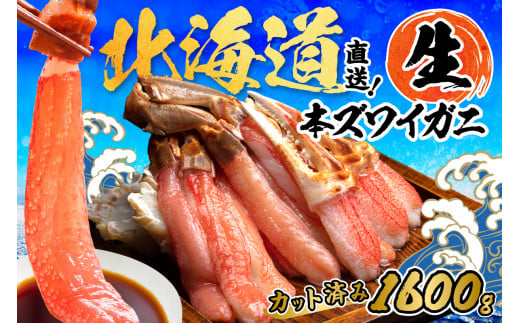 北見市加工 生冷本ズワイガニセット 800g×2パック 昆布入 ( 海鮮 魚介類 魚介 蟹 かに カニ セット 鍋 カニ鍋 カニ爪 ズワイガニ かにしゃぶ カット済 贈答 )【094-0072】