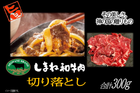 A-1172 しまね和牛 切落し 300g