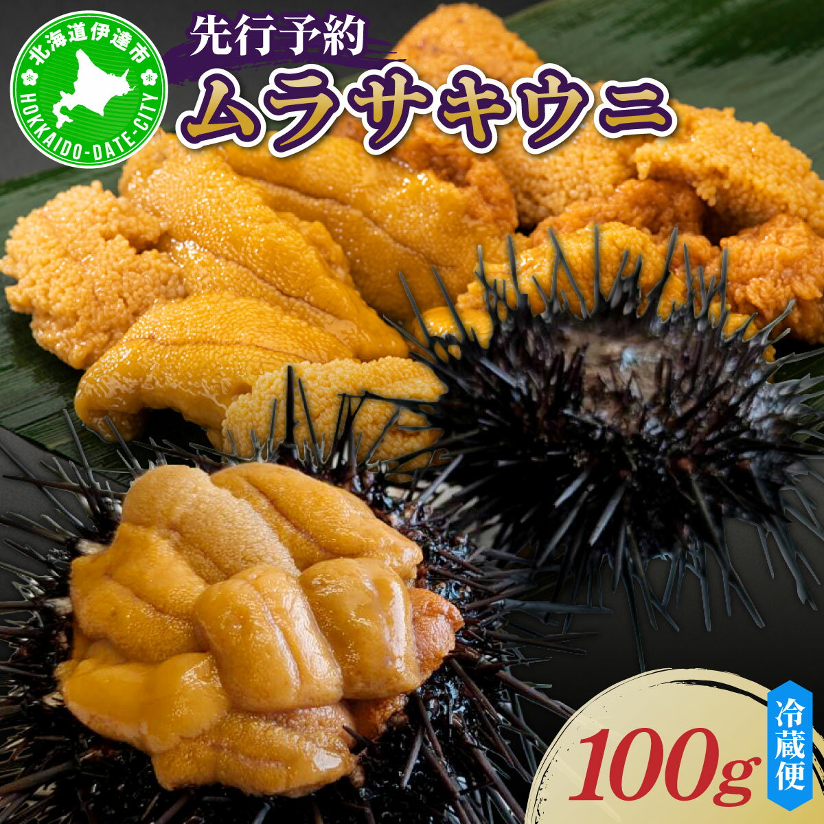 【ふるさと納税】＜先行予約＞ 北海道産 ムラサキウニ（正規品）【ogm-027】うに 海鮮 国産 北海道 伊達 ふるさと納税