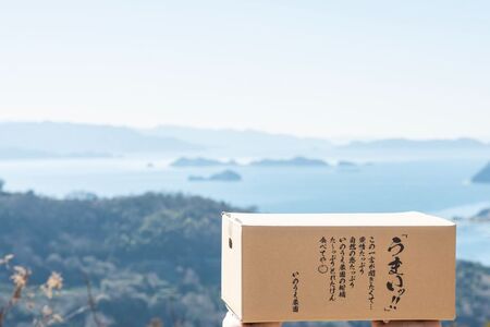 【先行予約】いのうえ農園の太田ポンカン 5kg ※離島への配送不可 （2027年1月上旬より順次発送）IKTAI003