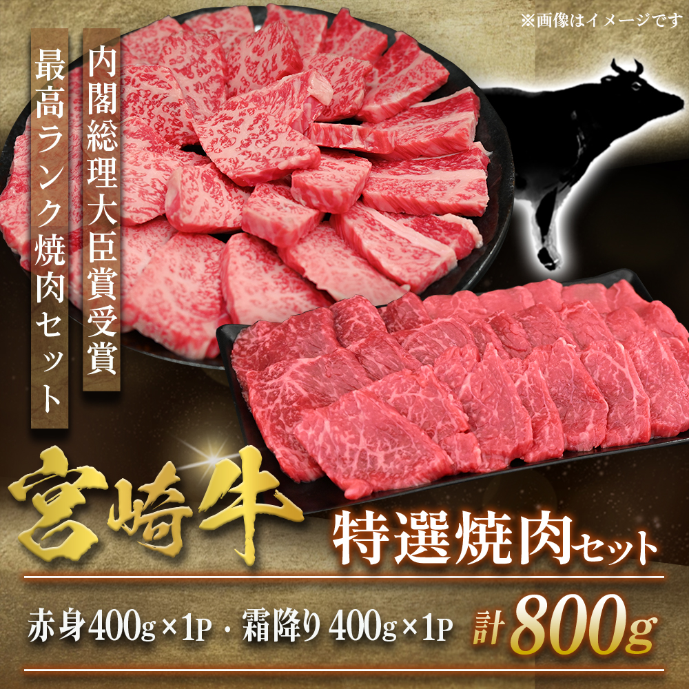 【A5等級】宮崎牛 特選焼肉セット 計800g（赤身・霜降り） 宮崎牛 プレミアムシリーズ ブランド牛 和牛 牛肉 焼肉 特選和牛 霜降り A5 宮崎県 小林市