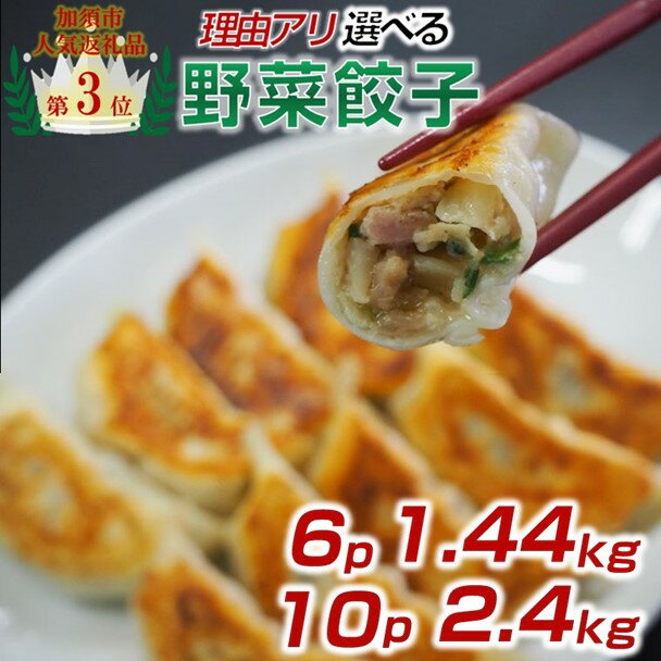【ふるさと納税】【訳あり】冷凍野菜餃子：4パック＆2パック or 8パック＆2パック【定期便アリ】