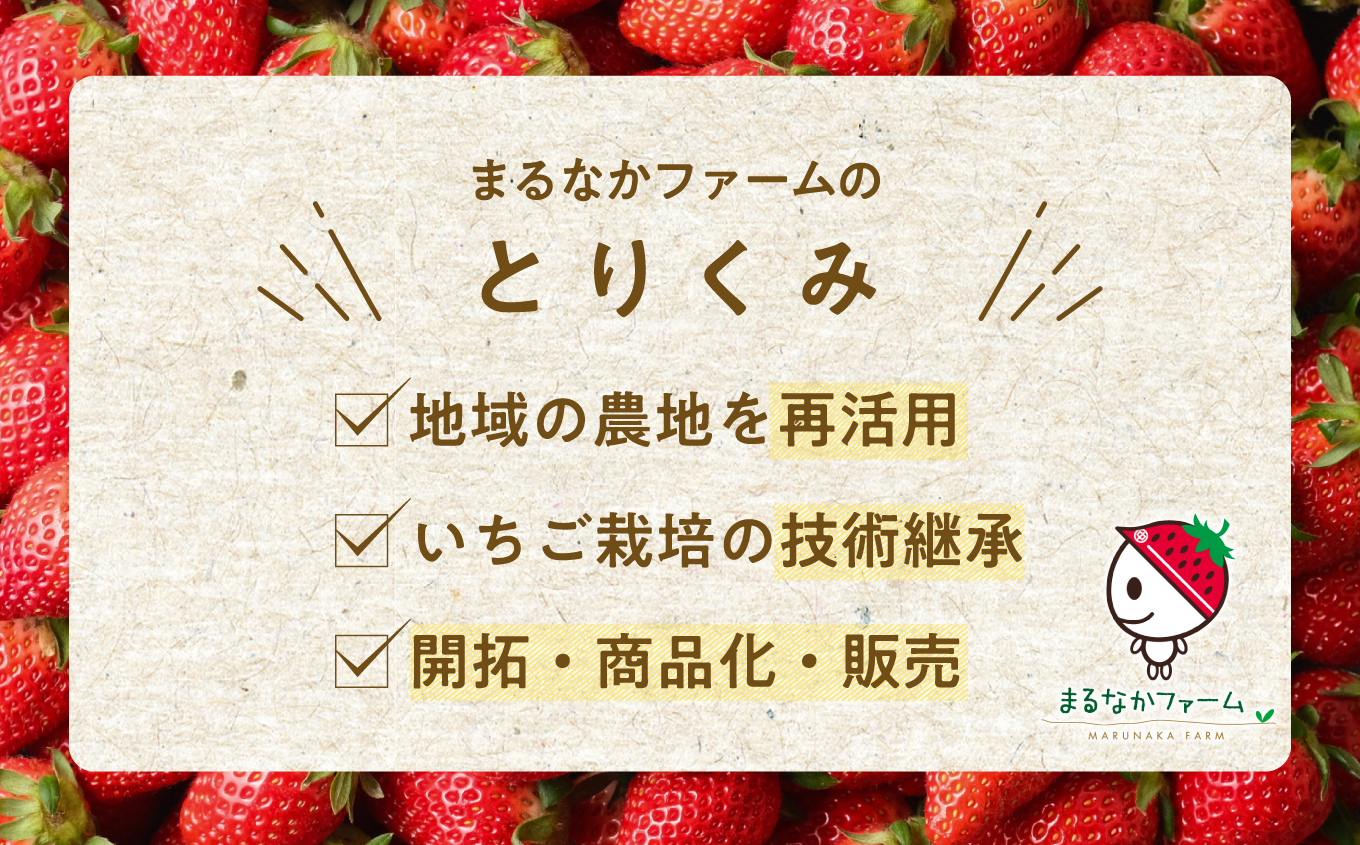 冷凍まんまるいちご 品種おまかせ 2kg いちご 冷凍いちご ストロベリー 苺 イチゴ フルーツ 果物 おすすめ お中元 お歳暮 ギフト 二本松市 ふくしま 福島県 送料無料【まるなかファーム株式会社