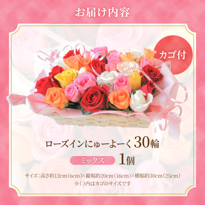 〈日付指定も可能〉 観賞はもちろん！バラ風呂やフラワーシャワーに！ ローズインにゅーよーくミックス３０輪 バラ３０輪詰め合わせ 風呂 薔薇 ローズ ギフト プレゼント ラッピング インテリア お花 フ