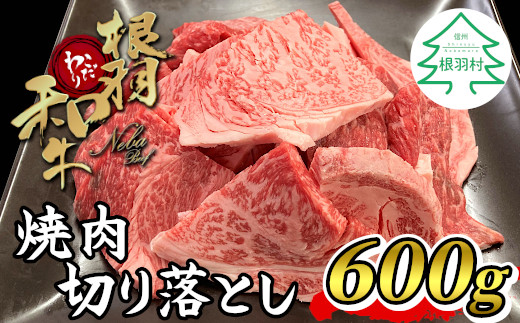大人気につき、最短9月発送★根羽こだわり和牛 焼肉切り落とし 600g リブロース カタロース モモ カタ バラ ウデ 焼肉用 10000円　国産黒毛和牛 国産牛 ブランド牛