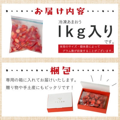 【先行受付】冷凍あまおう1kg(岡垣町)【配送不可地域：離島】