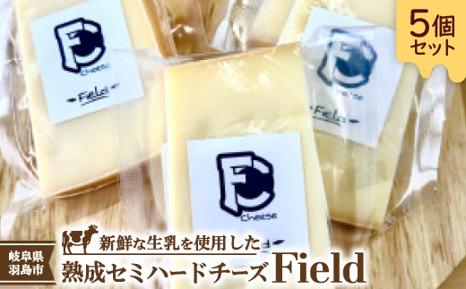 Field(フィールド)個包装5個セット【配送不可地域：離島】