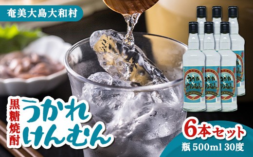 
                  奄美群島特産【奄美黒糖焼酎】うかれけんむん30度 500ml瓶×6本
                