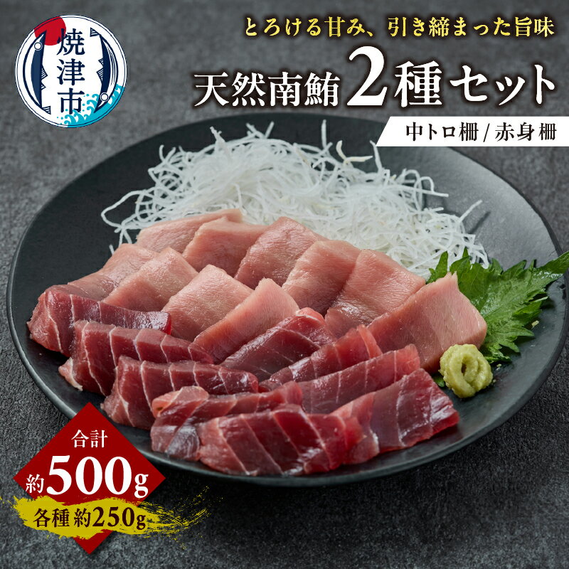 【ふるさと納税】 マグロ 天然 南まぐろ 中トロ 赤身セット 各約250g 合計約500g 特級醤油付 冷凍 焼津 a18-093